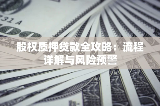 北京股权质押贷款全攻略：流程详解与风险预警