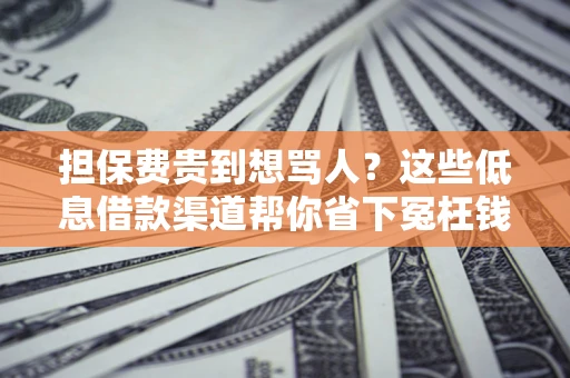 北京担保费贵到想骂人？这些低息借款渠道帮你省下冤枉钱