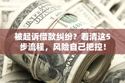 北京被起诉借款纠纷？看清这5步流程，风险自己把控！