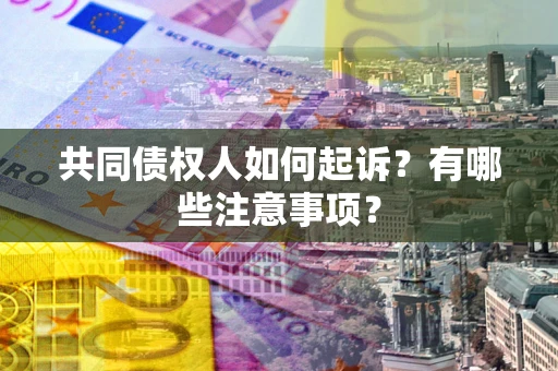 北京共同债权人如何起诉？有哪些注意事项？